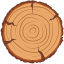 Ipsum